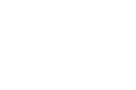 LMNTEE